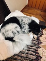 リラックスしている桐。