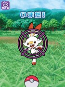 「スマホロトム」ではポケモンを捕まえることができる。