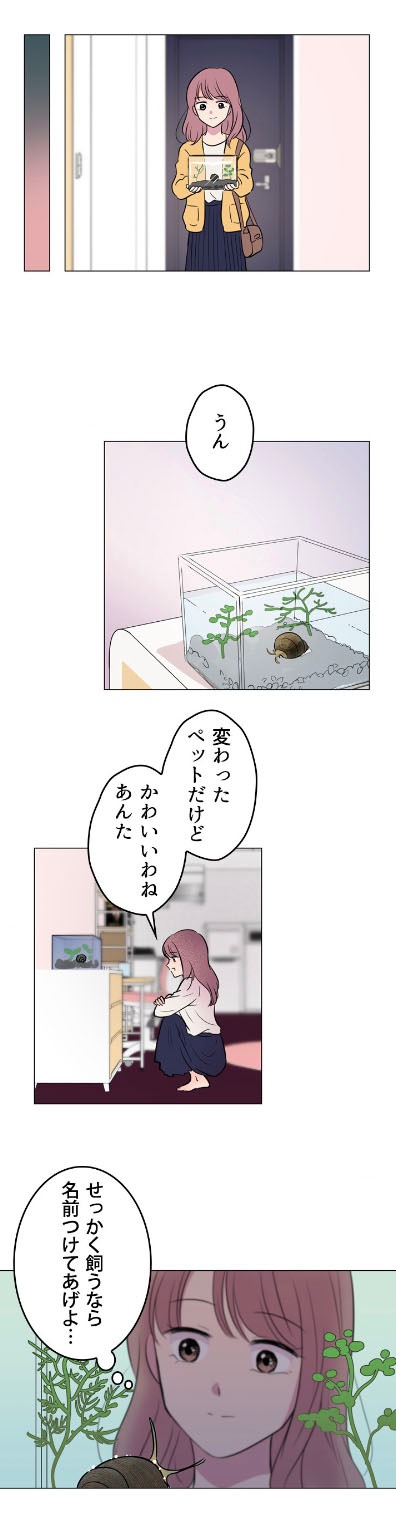 「うちのタニシ」より。