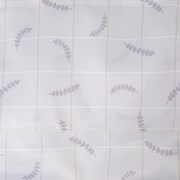 前田藤四郎モデル