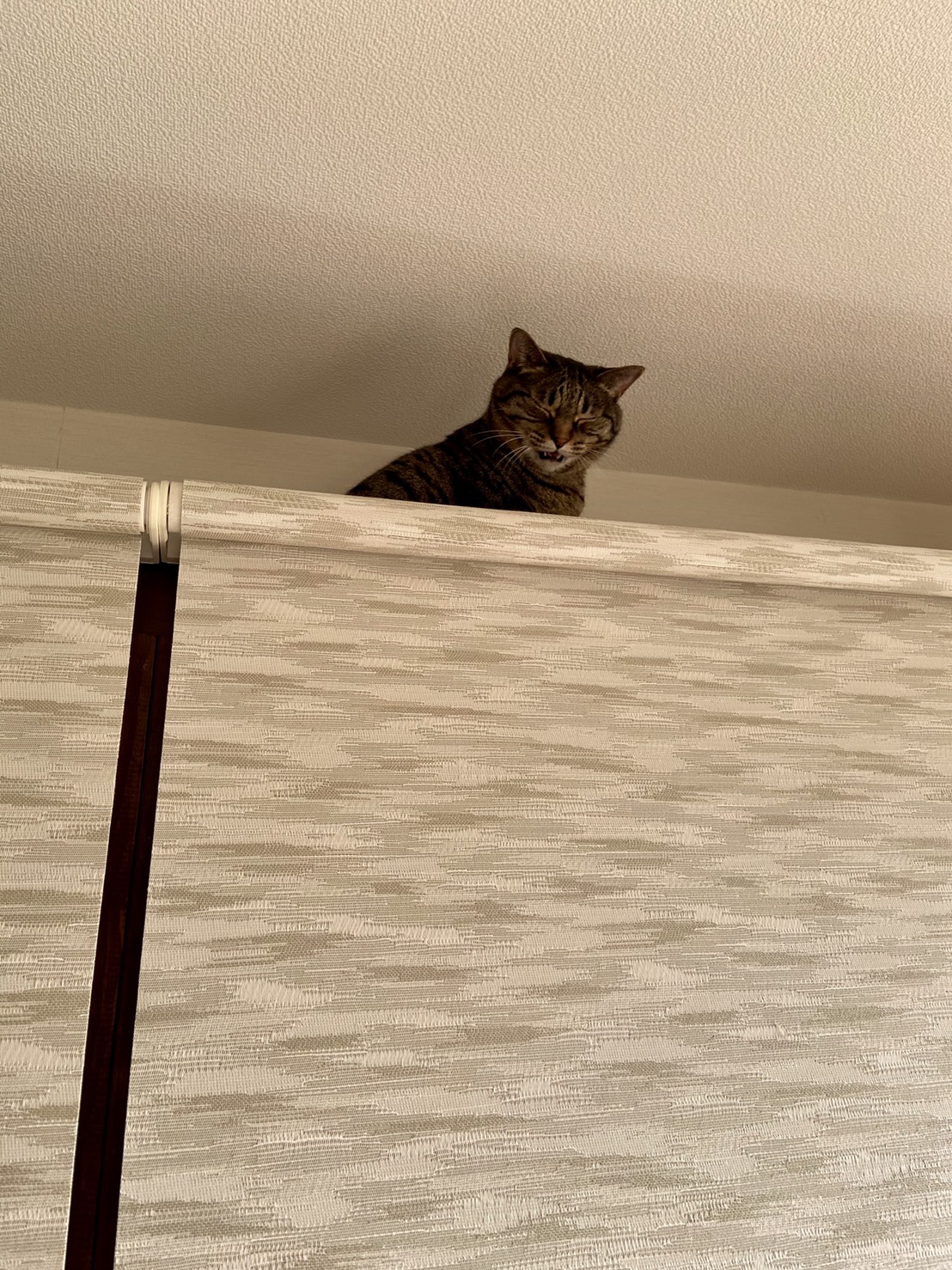 ヒロ