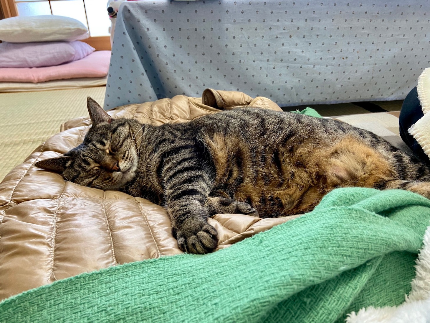 ヒロ