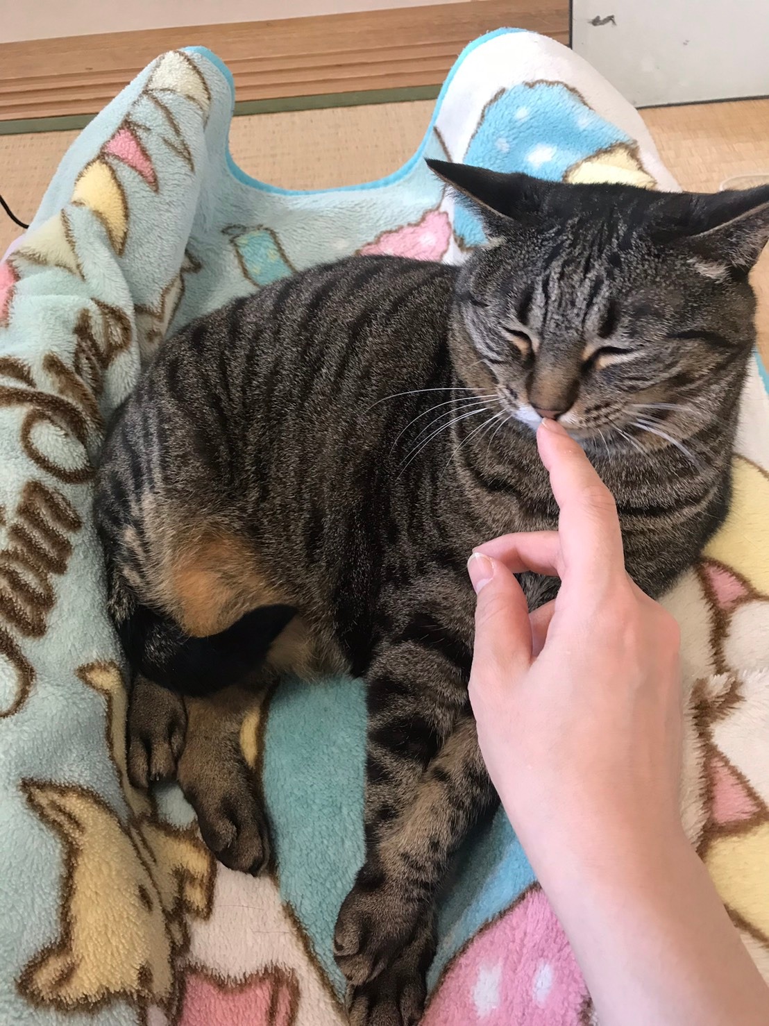ヒロ