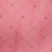 ST☆RISH・来栖翔モデルのリュック。