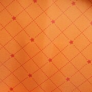 ST☆RISH・神宮寺レンモデルのリュック。