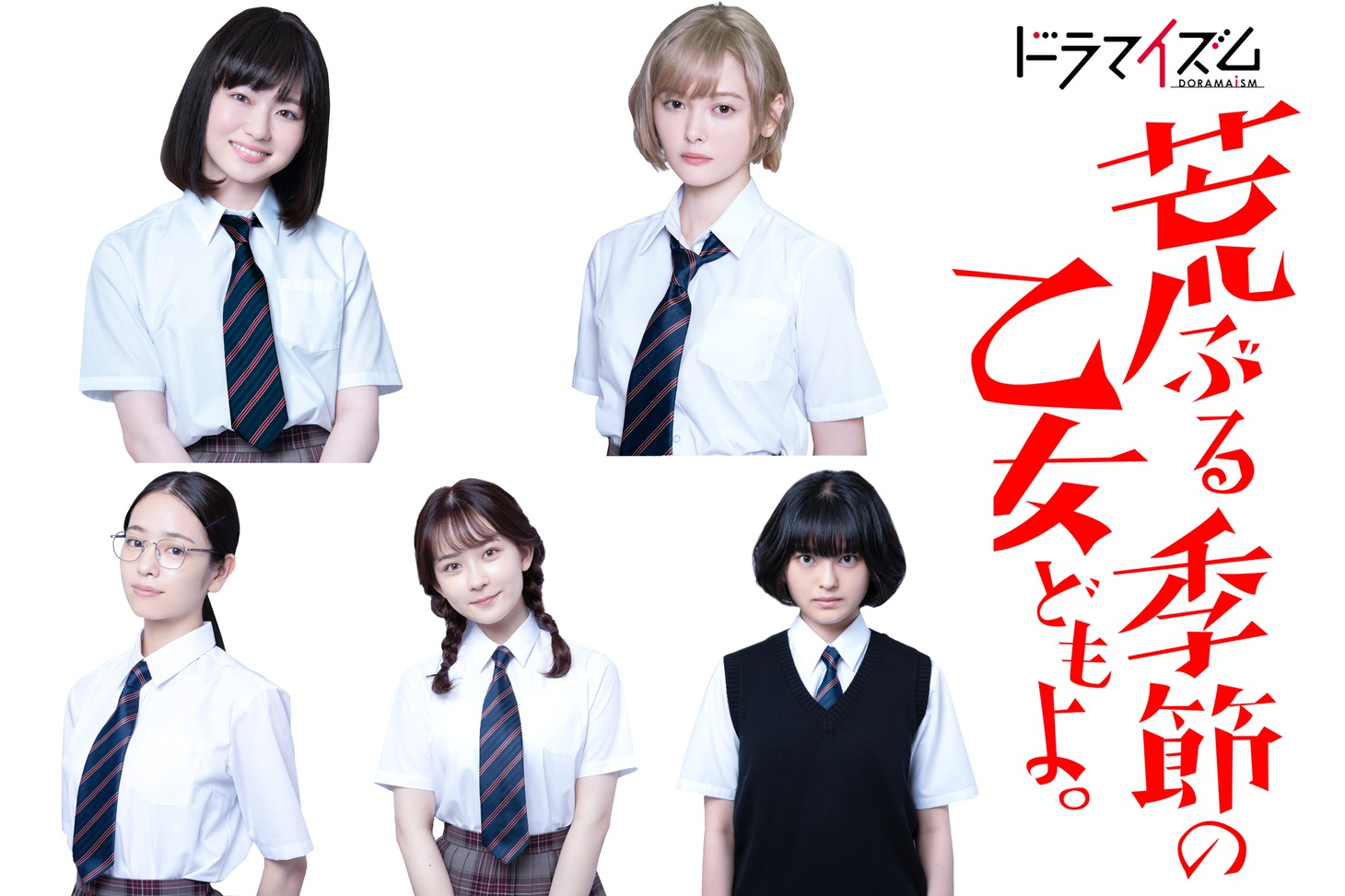 ドラマ「荒ぶる季節の乙女どもよ。」ビジュアル