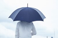 「トトロの雨傘」（開発中画像）