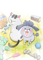アニメ「犬と猫どっちも飼ってると毎日たのしい」ビジュアル(c)松本ひで吉・講談社／犬と猫製作委員会