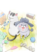 アニメ「犬と猫どっちも飼ってると毎日たのしい」ビジュアル(c)松本ひで吉・講談社／犬と猫製作委員会