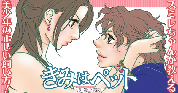 小川彌生「きみはペット」バナー