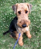 生後3カ月のジャック。