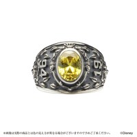「ディズニー ツイステッドワンダーランド カレッジリング（サバナクロー）」