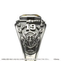 「ディズニー ツイステッドワンダーランド カレッジリング（サバナクロー）」