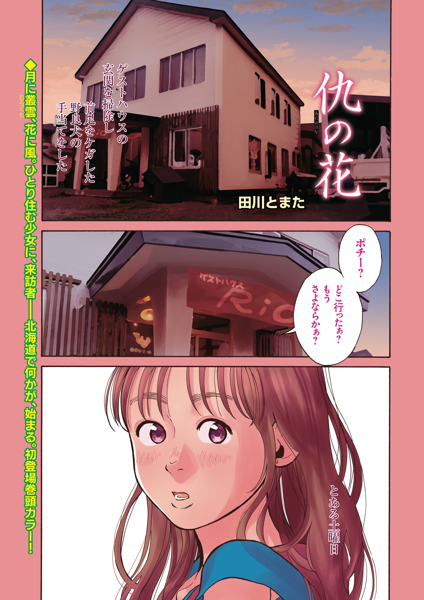 「仇の花」より。