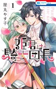 「姫君は騎士団長」1巻