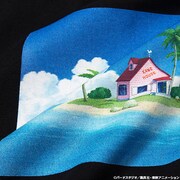 「ドラゴンボール カメハウス L/S」