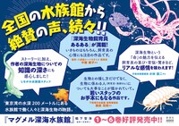 「マグメル深海水族館」6巻に対する水族館で働く人々によるコメント。