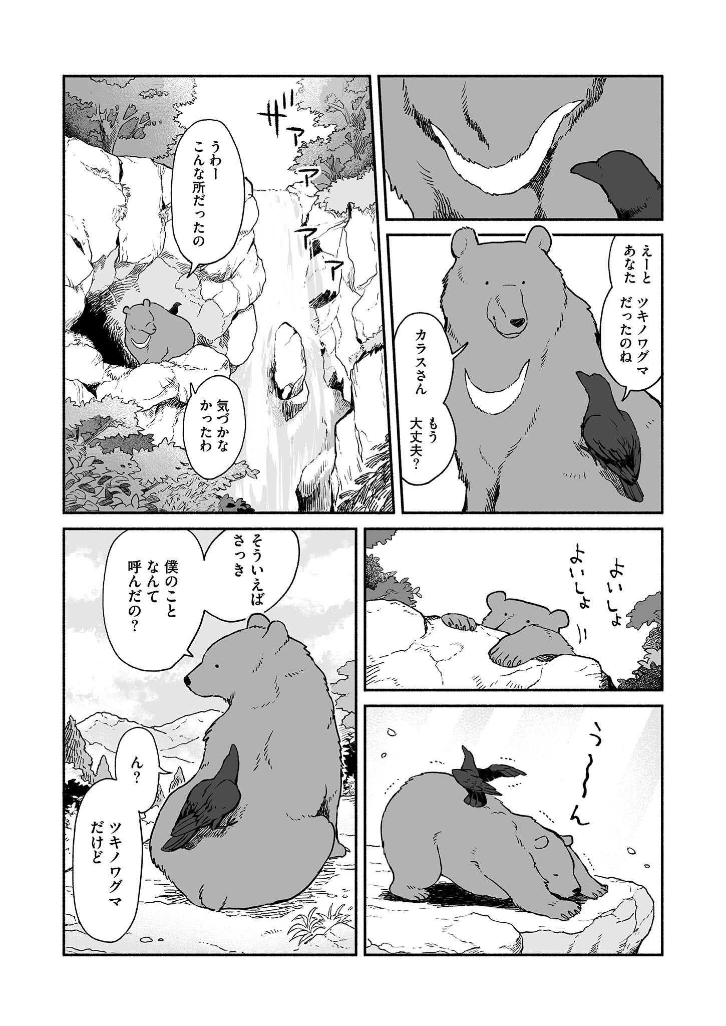 「クマとカラス」より。