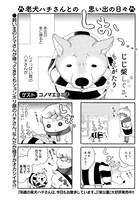 同号にはコノマエヨミ子のゲスト作品「じじ柴しぐさ、もえがたり」も掲載。