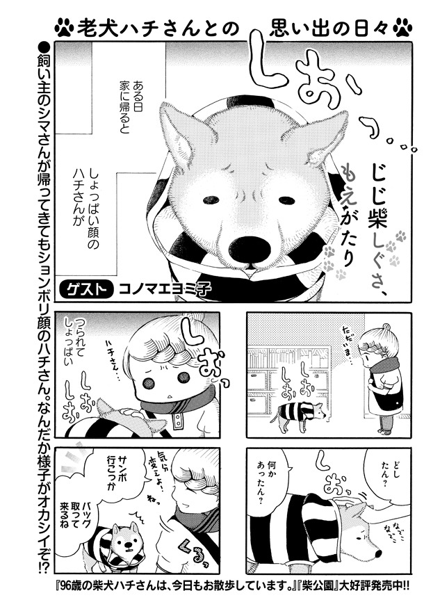同号にはコノマエヨミ子のゲスト作品「じじ柴しぐさ、もえがたり」も掲載。