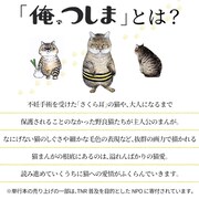 「俺、つしま」の紹介画像。