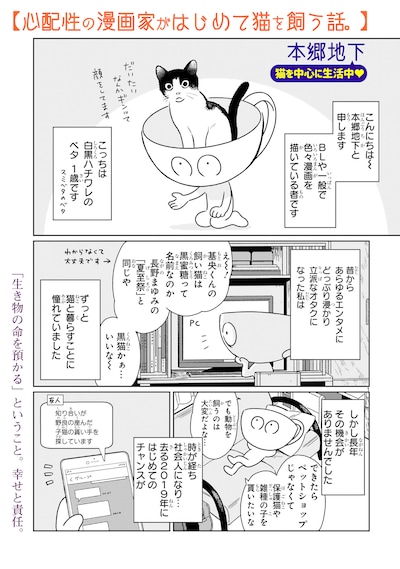 「心配性の漫画家がはじめて猫を飼う話。」より。