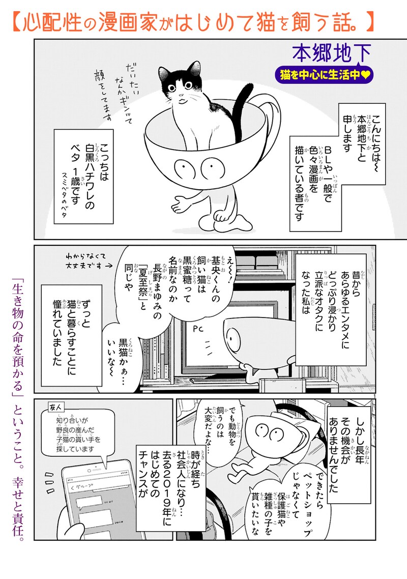 「心配性の漫画家がはじめて猫を飼う話。」より。