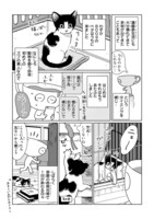 「心配性の漫画家がはじめて猫を飼う話。」より。