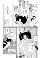 「心配性の漫画家がはじめて猫を飼う話。」より。
