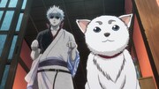 アニメ「よりぬき銀魂さん ポロリ篇」より