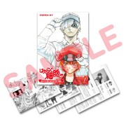 来場者特典の小冊子「はたらく細胞 第4.9巻」。