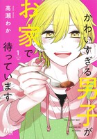 「かわいすぎる男子がお家で待っています」1巻