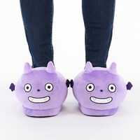 「茅ヶ崎 至のスリッパ」