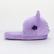 「茅ヶ崎 至のスリッパ」