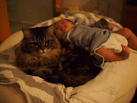 こざき亜衣×ズンズク