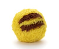 「WHO are YOU? ポケモン」毛玉の状態。