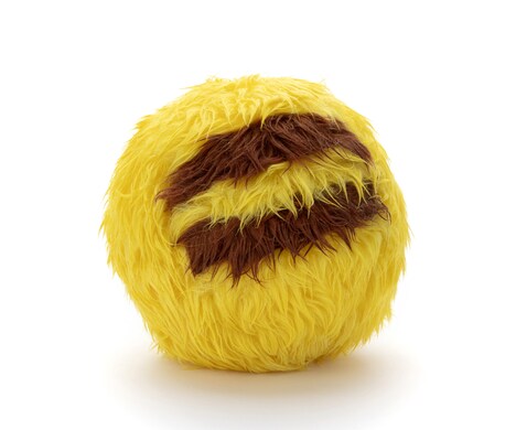 「WHO are YOU? ポケモン」毛玉の状態。