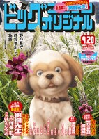 ビッグコミックオリジナル18号