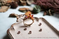 パラスのリング。