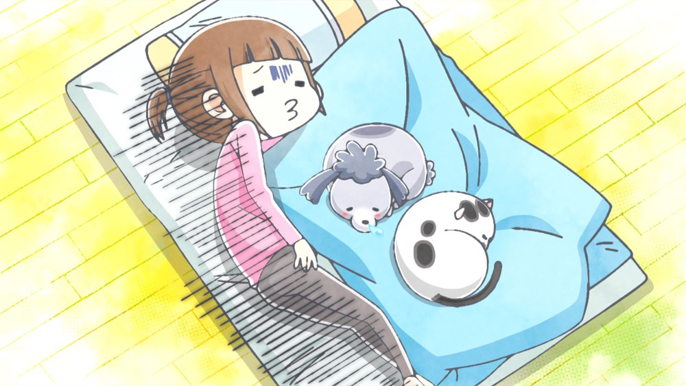 アニメ「犬と猫どっちも飼ってると毎日たのしい」第2弾PVより。