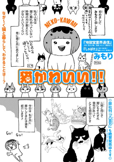 「猫かわいい!!」より。