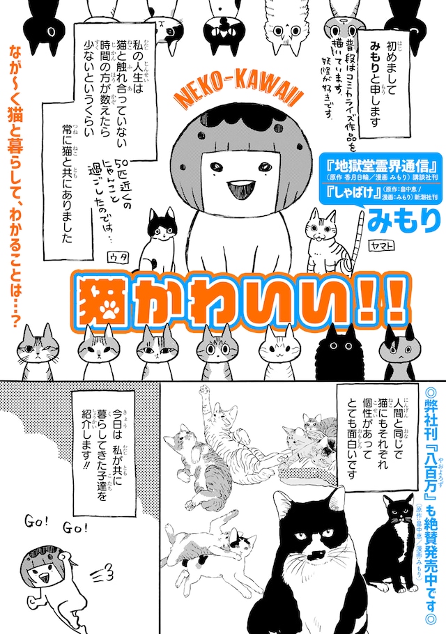 「猫かわいい!!」より。