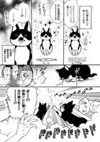 「猫かわいい!!」より。