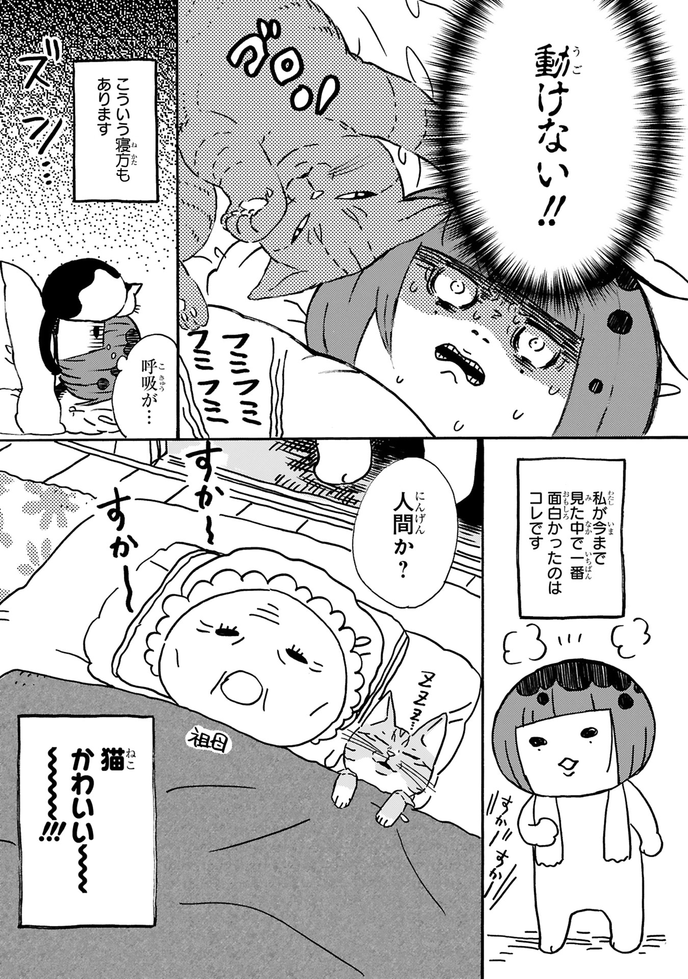 「猫かわいい!!」より。