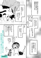 「猫かわいい!!」より。