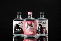 「ブラック・ジャック66」