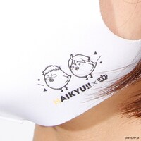 「ハイキュー!!洗えるアニマルマスク」