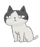 猫丸（CV：沢井正棋）