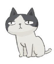 猫丸（CV：沢井正棋）