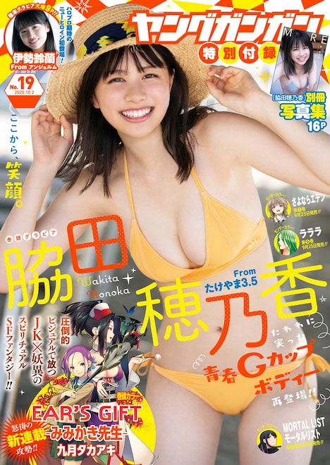 ヤングガンガン19号